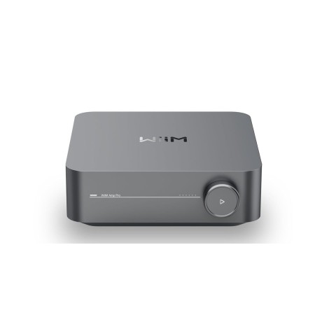 Wiim_Amp_Pro_Dark_Gray
