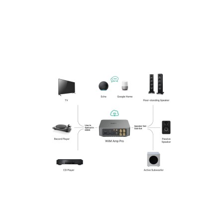 Wiim_Amp_Pro_Dark_Gray