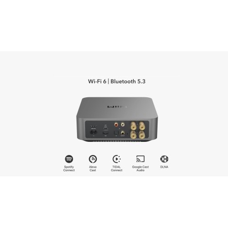 Wiim_Amp_Pro_Dark_Gray