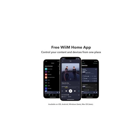 Wiim_Amp_Pro_Dark_Gray