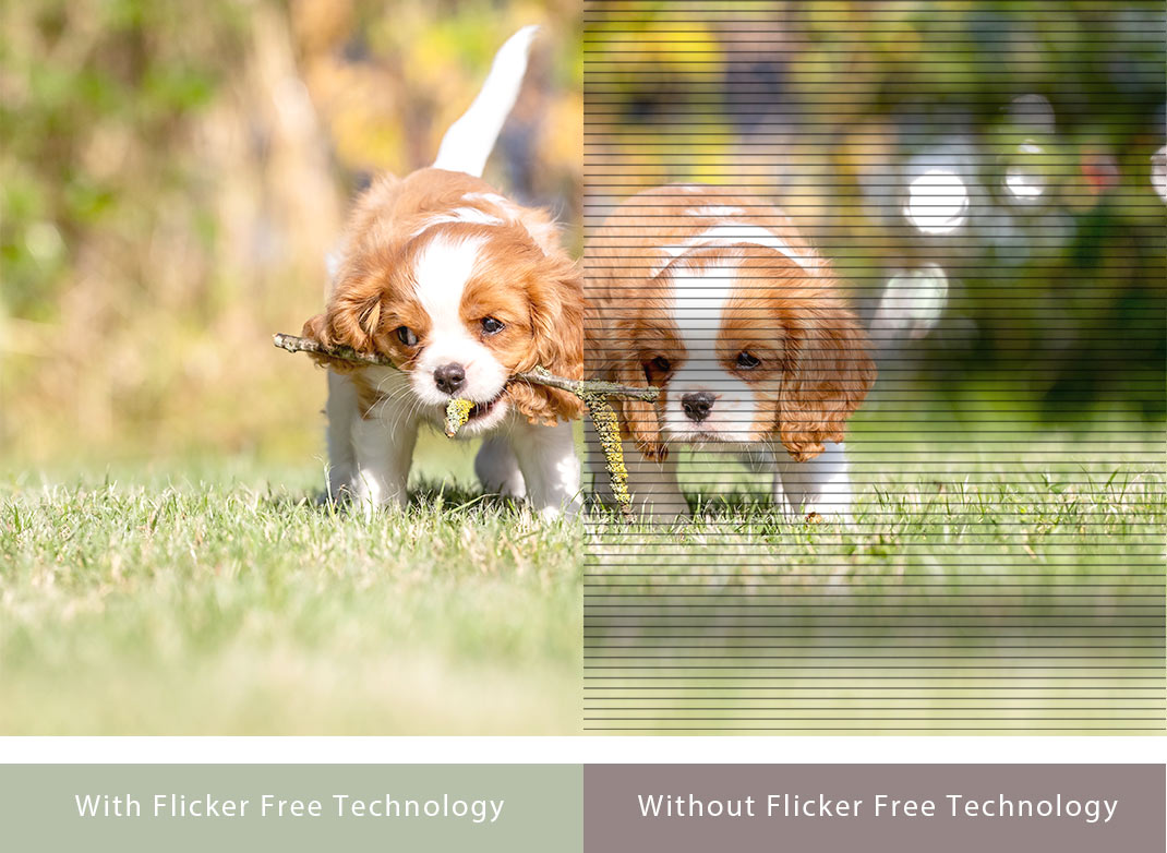 Flicker-Free